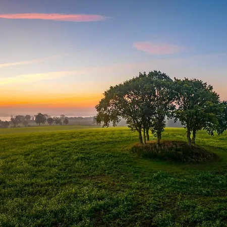 Among Apple Trees Near The Baltic Sea Behrensdorf