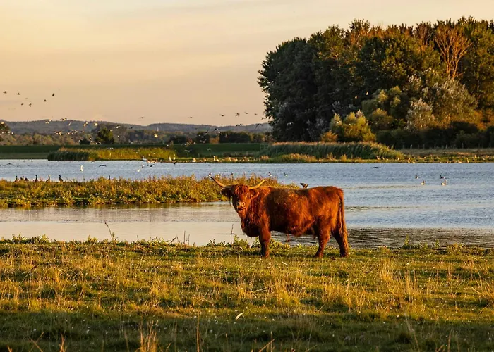 Ferienhaus Holiday Home Among Apple Trees Near The Baltic Sea *